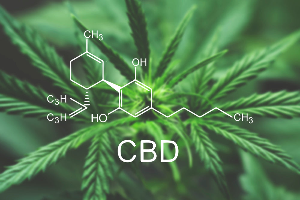 A CBD molecule illustration sits atop a hemp plant.