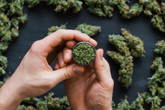 A person packs cannabis bud into a grinder.