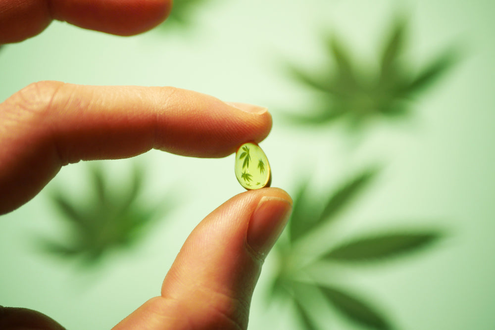 A person holds a THC pill with cannabis leaves in the background.