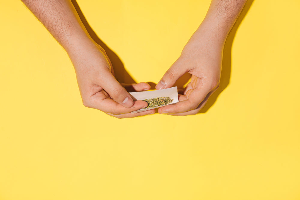 A person rolls a joint on a yellow background.